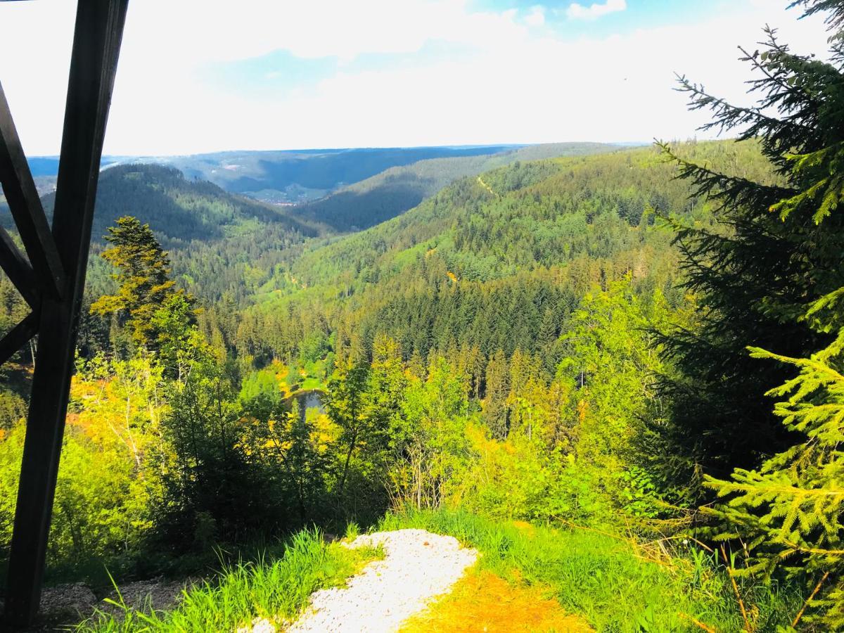Haus Jenni Im Schwarzwald, 3,5-Zimmer, Grosse Terrasse Freudenstadt Bagian luar foto