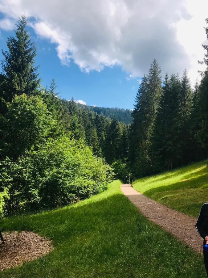 Haus Jenni Im Schwarzwald, 3,5-Zimmer, Grosse Terrasse Freudenstadt Bagian luar foto